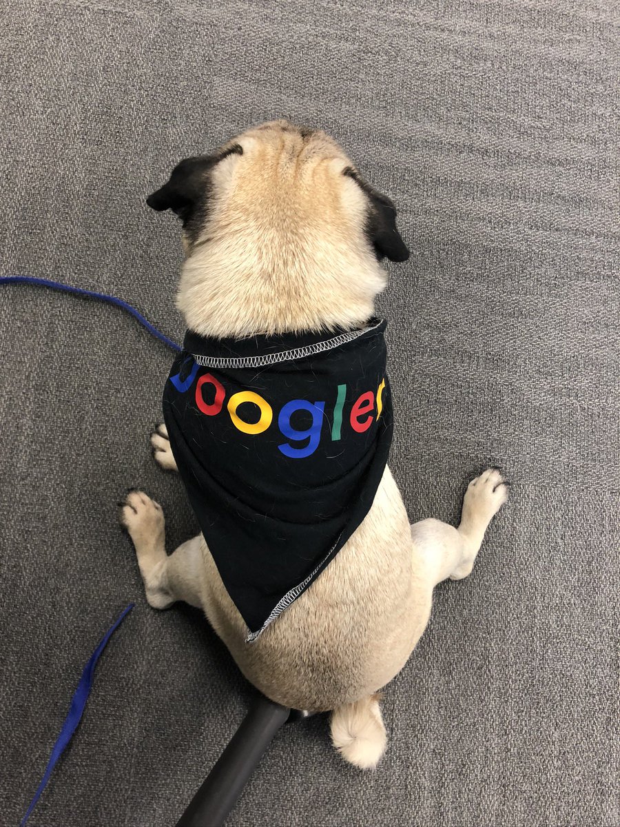 MattChew2's tweet photo. @lifeatgoogle Our two boys enjoying Google London! 💙❤️💛💚 https://t.co/W3dgQ3ZD8s