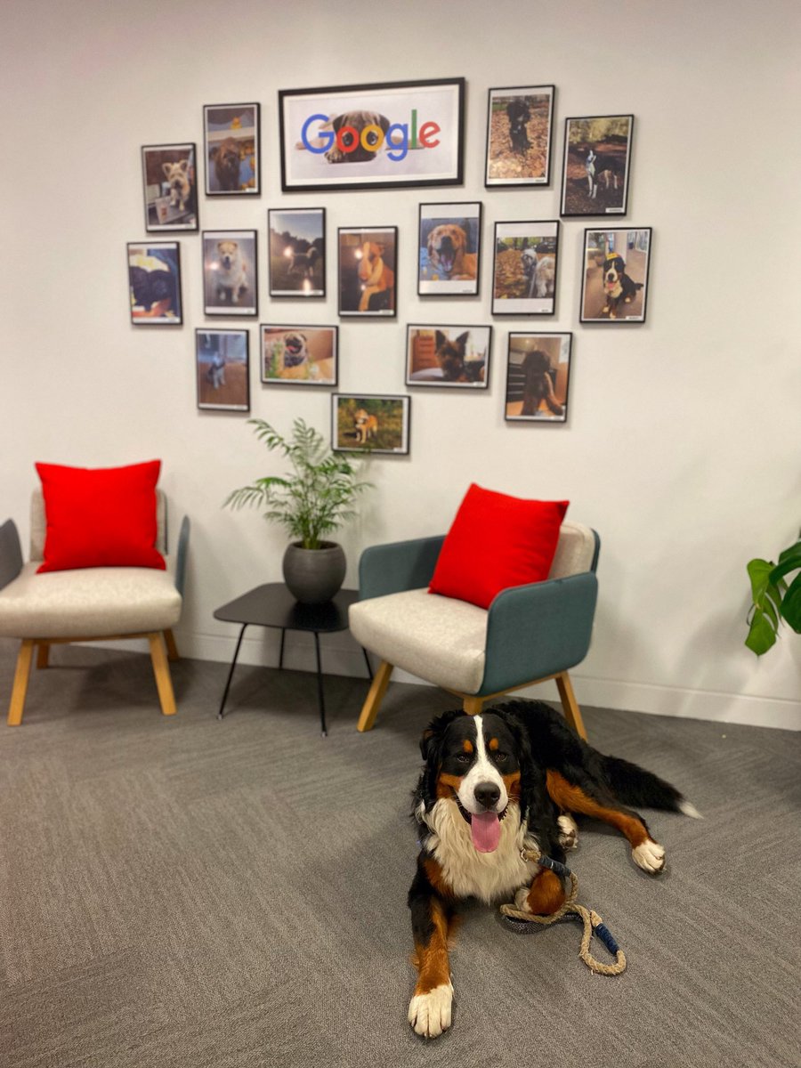 MattChew2's tweet photo. @lifeatgoogle Our two boys enjoying Google London! 💙❤️💛💚 https://t.co/W3dgQ3ZD8s