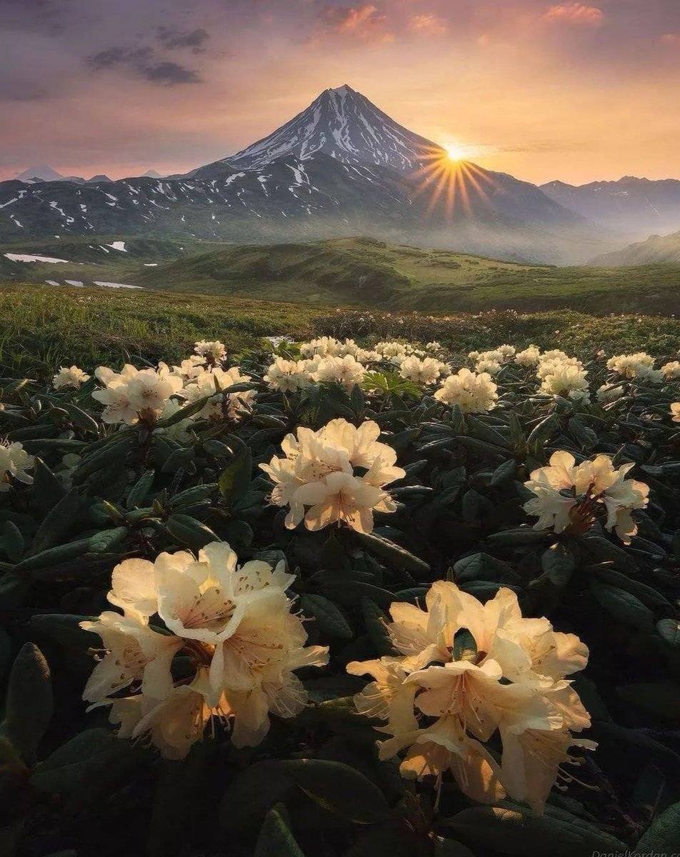 PlacesTo_Visit's tweet photo. Kamchatka, Russia 🗻 https://t.co/K4R7oyenRS