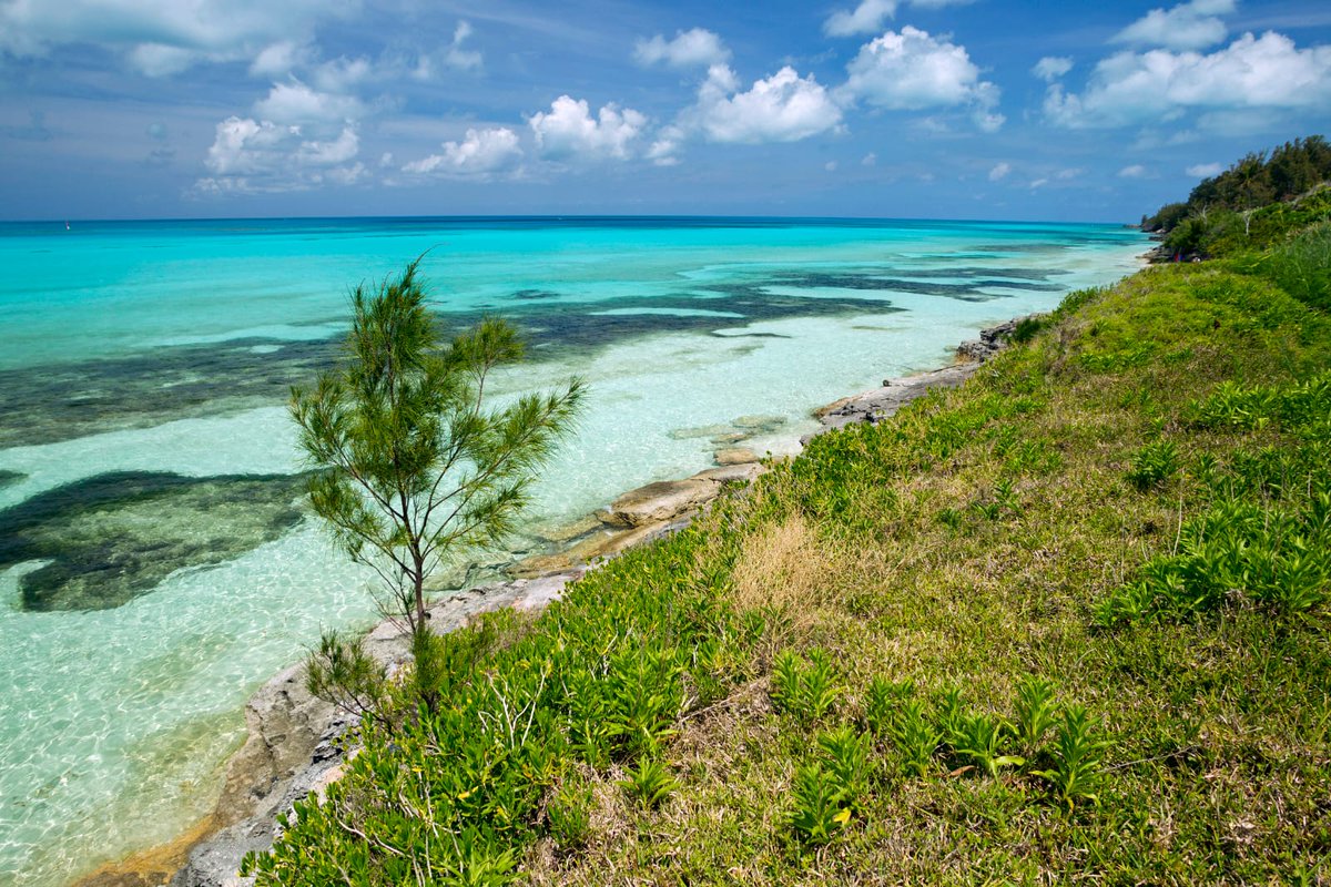 BdaGovernment's tweet photo. Happy Sunday Bermuda! We hope you’ve had a safe and relaxing weekend!!☀️🌊
#Bermuda #Bermudabeaches #BermudaParks https://t.co/L9iqcYD7rp