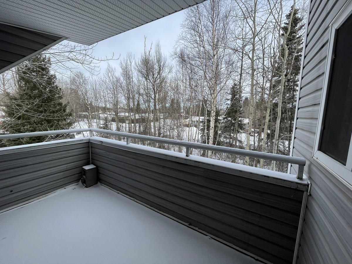 ChristineYH's tweet image. Today’s #patiopic. Yes. You can see it with your own eyes. It snowed. It’s now -11 C but I’m expecting blue skies. #notspringyet