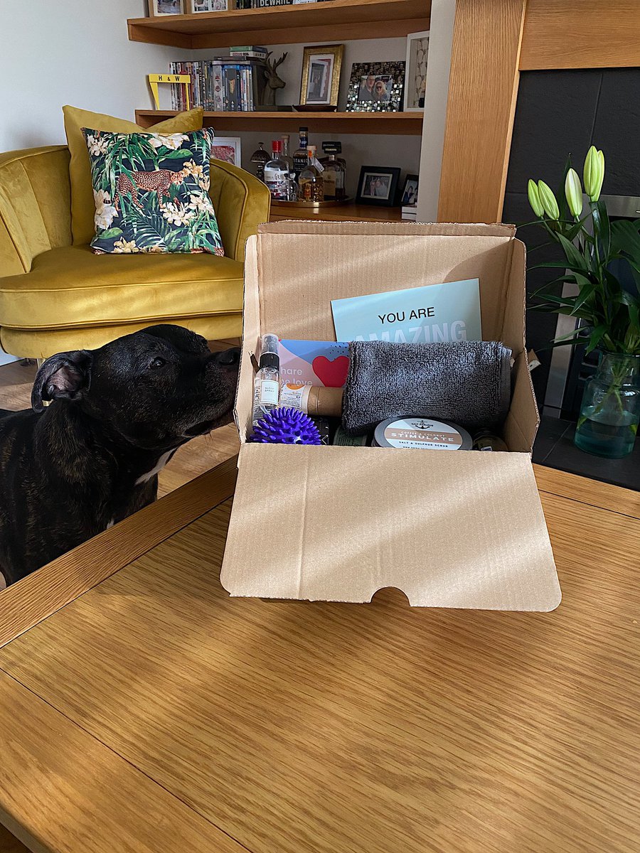morbidology's tweet photo. Received the most thoughtful gift from my amazing hosting platform @spreaker for winning Best International Podcast at the @iHeartPodcasts Awards. If you’re a podcaster or future podcaster, do check them out. Wonderful company filled with the most lovely people 🖤🎙 https://t.co/H6qgg4bLpb