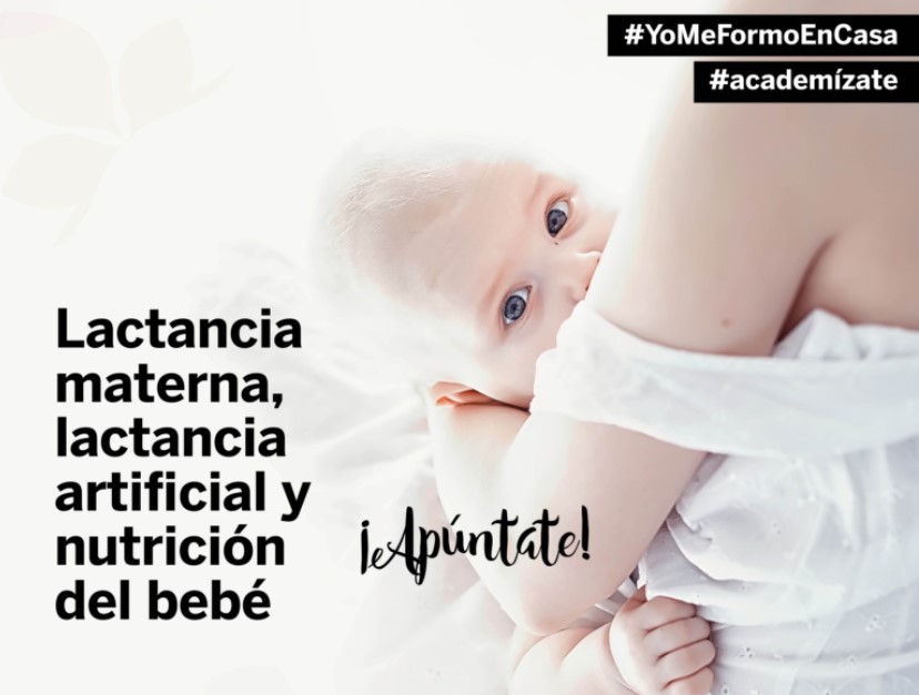 ➡️Para profesionales: 🗓️viernes 11 de marzo de 16 a 18 h: "Lactancia materna, lactancia artificial y nutrición del bebé"  ✅Un curso que pretende formar y actualizar en el ámbito de la lactancia materna. ¿Te apuntas? academianutricion.org/curso-completo…
#academizate #formación