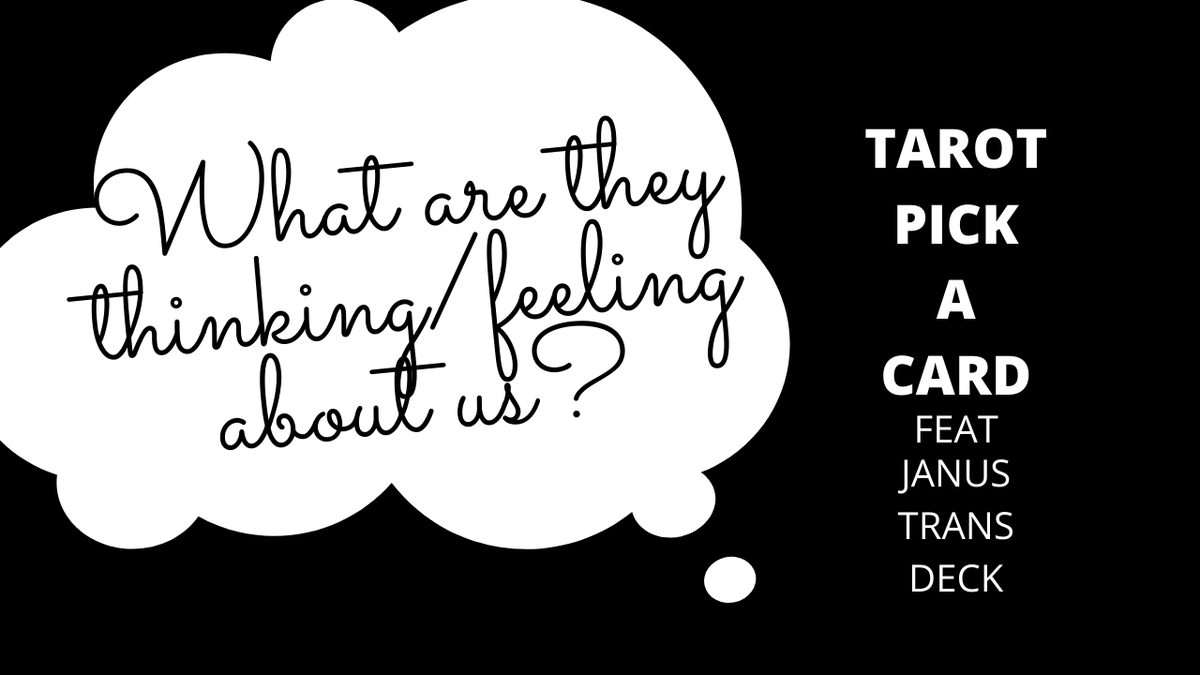 tarotncoffee's tweet photo. What are They Thinking &amp; Feeling about Us? Feat the Gorgeous Trans Janus... https://t.co/dO8KULwLco via @YouTube THIS READING IS FOR VIEWERS 18+ A Romance reading for  adults.
Find Your beautiful Trans Tarot deck here!
https://t.co/8ItGRL4LBU https://t.co/vE8G50BMih