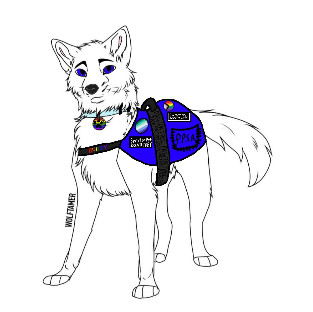 Buddythewolf's tweet photo. Buddy:

-Oc

-Male/Gay

-He/they pronouns

-Ryder's service animal

-Paw Patrol backup pup

-ship with Robo-Dog

-"Bark! Rrr.. Arf!" [Helpful to all, I won't fall!]

-Pure breed white artic wolf

-SFM

-Same age as Ryder (goes by human ages/ages like a human) 

-Cinnamon roll https://t.co/RfaFSUdlfZ