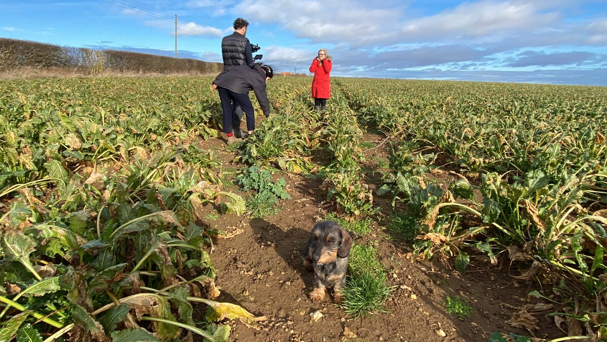 Andrew Ward 🇬🇧🚜 tweet media