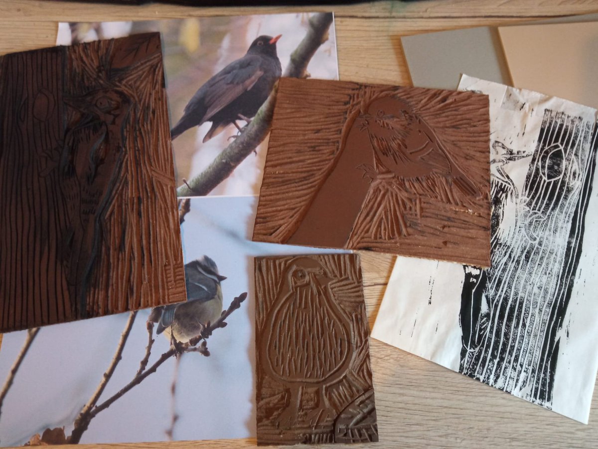 sternianna's tweet photo. mein aktuelles Herzensprojekt - #linol #vogelportraits ist heute ein Stück weiter gewachsen - Referenzfotos von Amsel und Meise sind von einer #fototour #Naturecollective #BirdsSeenIn2022 #kleineKunstklasse #birds #photography !B https://t.co/ZhLhZyb62v