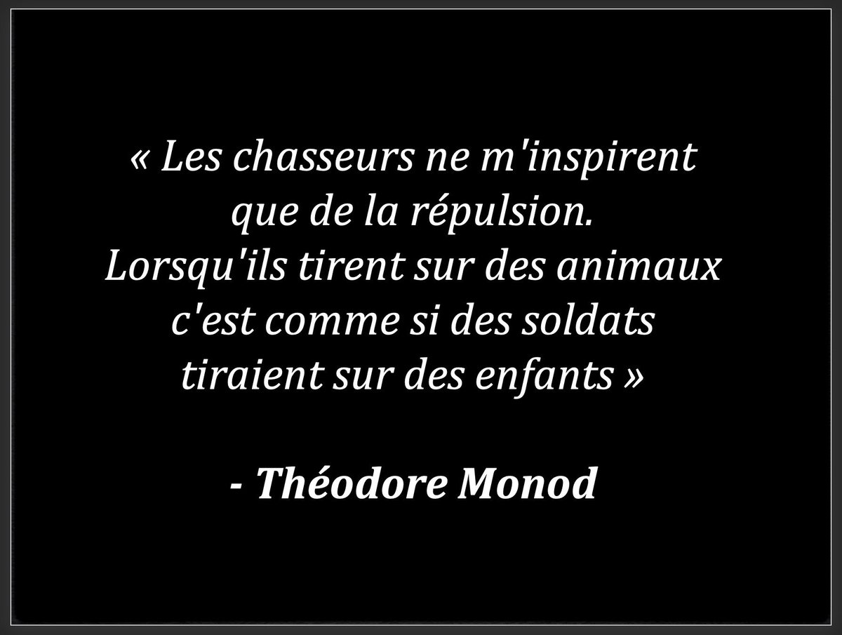laurentbaheux's tweet photo. Encore combien de morts avant qu'on ne décide de réguler la #chasse pratique morbide inutile dangereuse et inhumaine ? Au minimum, interdisons la chasse le week-end et les vacances scolaires, maintenant ! https://t.co/9bqcrijYoS