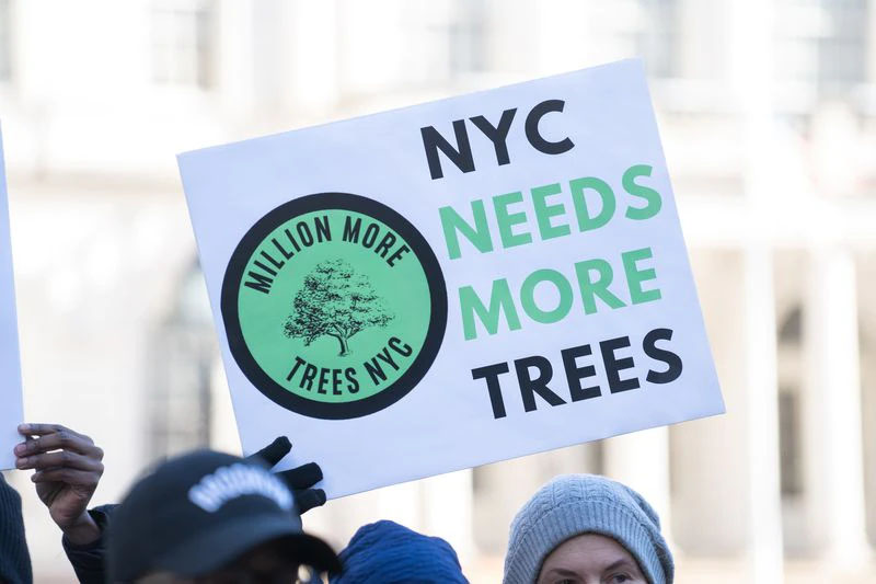 Hoboken_FBW's tweet image. Last Monday, New York City’s five borough presidents called on Mayor Eric Adams to adopt a plan to plant one million trees citywide over the course of the next decade (again!).  
#millionmoretrees #greeninfrastructure