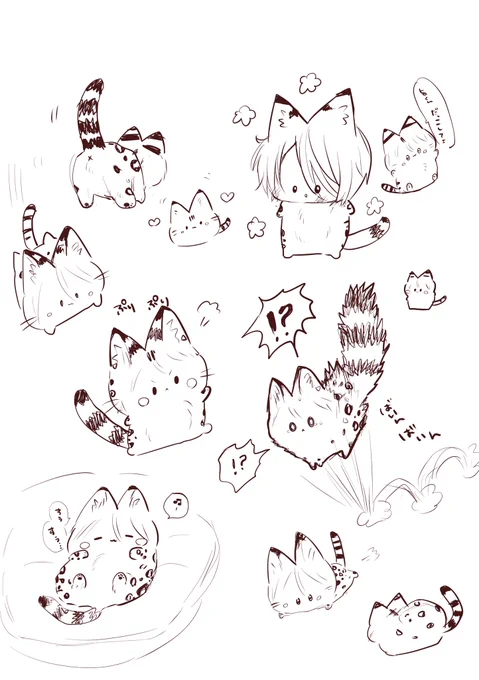 ちっちゃいサ藍いっぱい🐈 