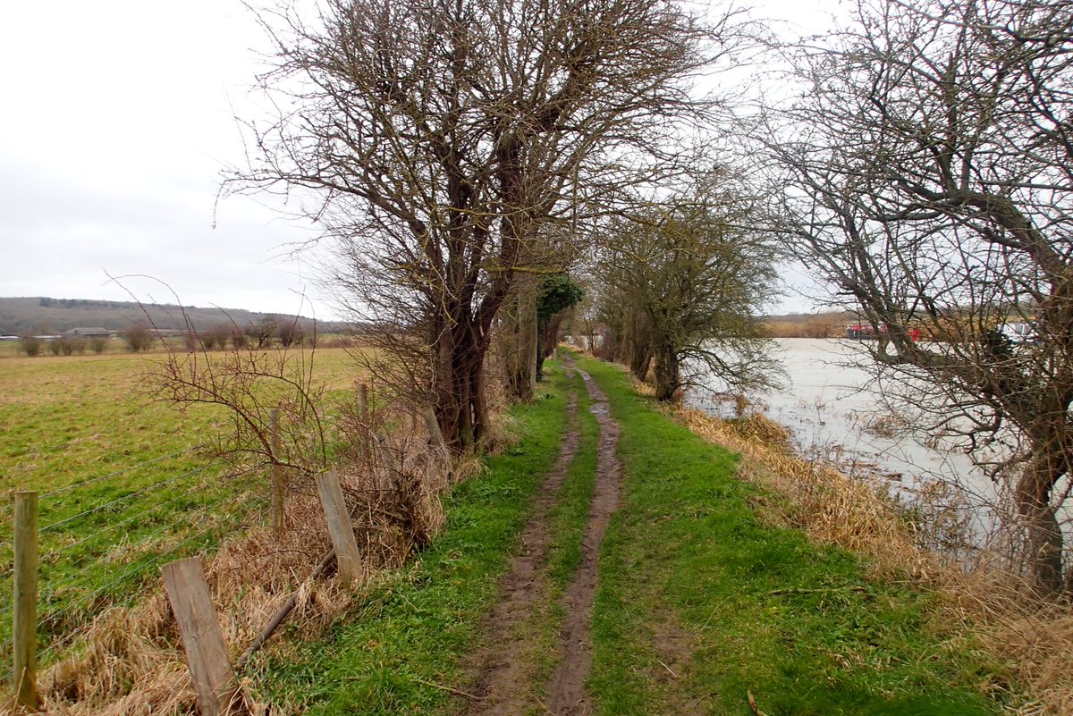 MortenLidegaard's tweet photo. Windy, rainy, muddy!😃What's not to like!! Awesome weather for a lovely run beyond Kings Lock and back for a splendid half😊Really needed that!
Hope you've had a great weekend!
@hoka #SpeedGoat4
@COROSGlobal #Vertix https://t.co/3Oakaq8msg