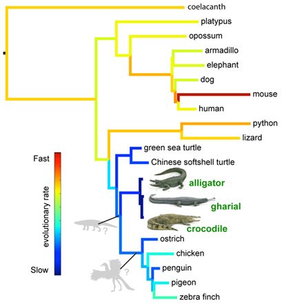 Some Vicious Mole tweet media