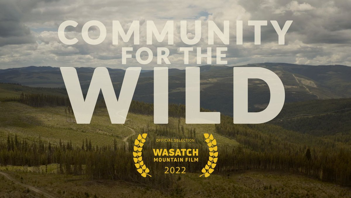 BCWildlife's tweet photo. Community for the Wild, which follows the BCWF's Southern Interior Mule Deer project, will be presented at this year's Wasatch Mountain Film Festival! TELUS Optik TV subscribers can watch the film now on channel 707. @riverridgeproductions @telus @storyhive #WatchLocal #bcwf https://t.co/UZfzBOADvT