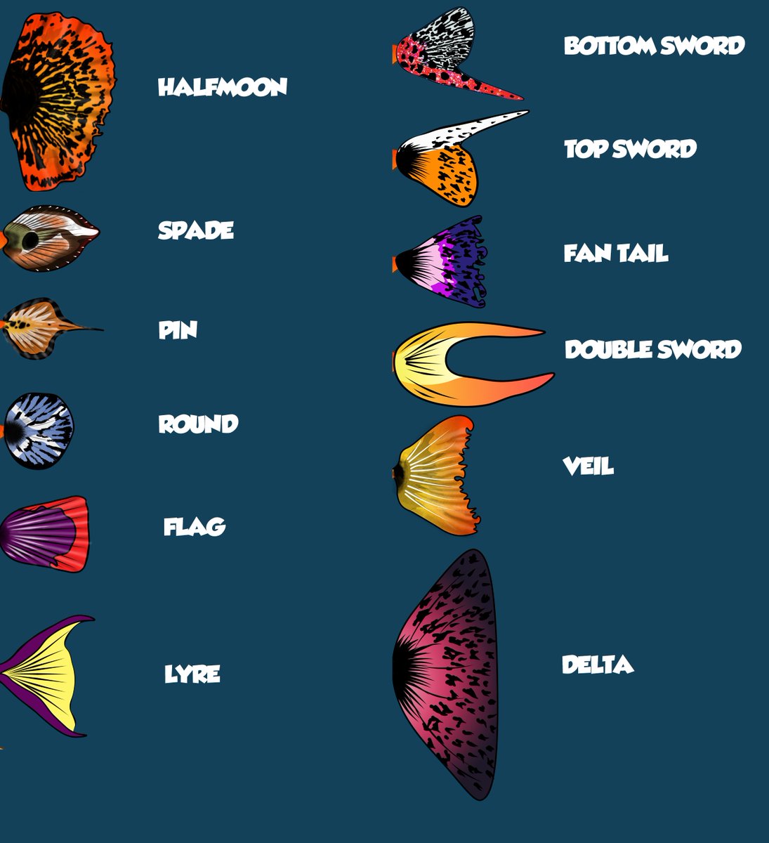 digifish tweet media