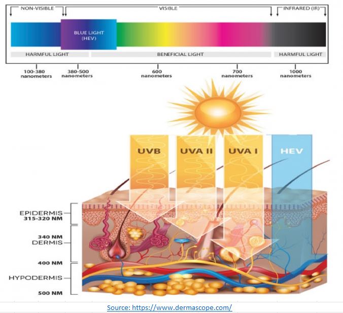 Под действием ультрафиолетовых лучей у человека появляется. HEV излучение. Влияние ультрафиолета на кожу. Защита кожи от ультрафиолетовых лучей.