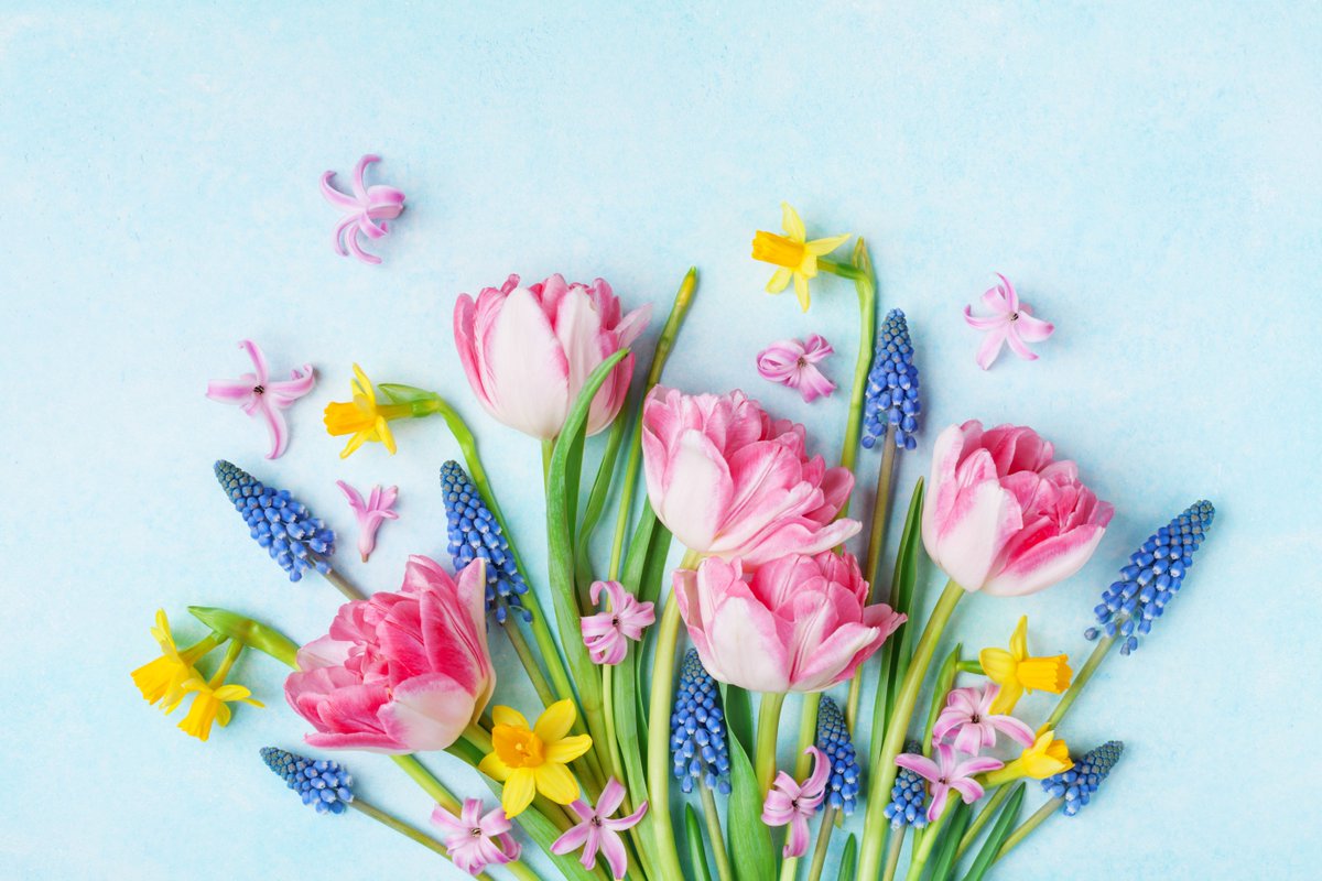 We can't wait to Spring into spring! 🌷 We're just one month away from warmer weather, flowers blooming, and more sunshine!