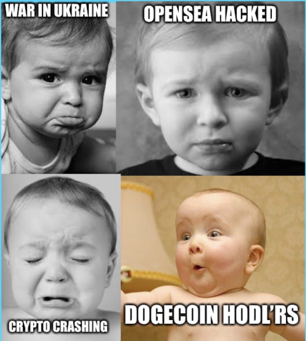 Paul F ❤️⚡️⚡️🐶⚡️⚡️🦀🦍🌖⬆️ tweet media