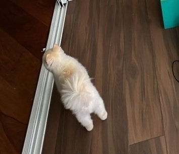 Johnytododia's tweet image. 