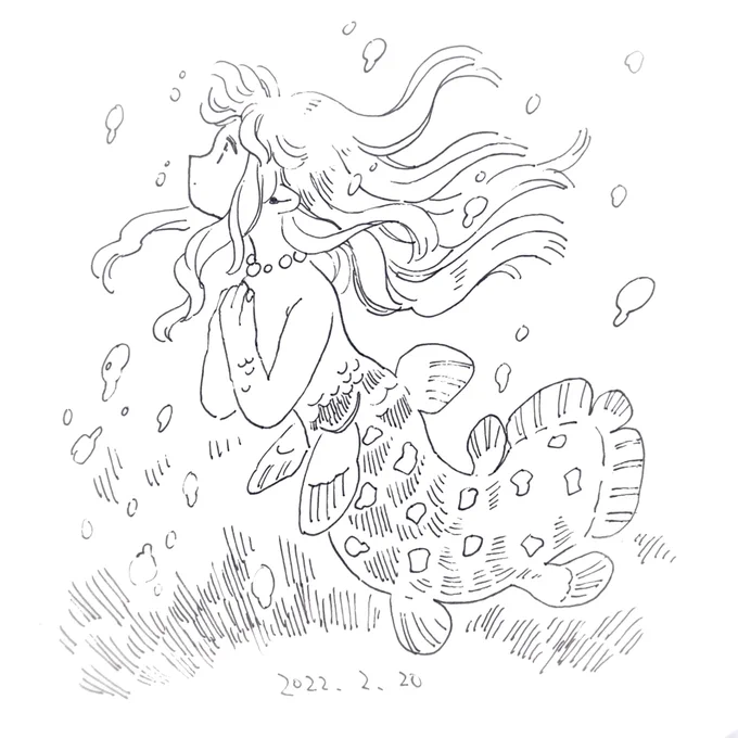 今日の🐟 