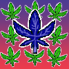 CryptoWeed9's tweet photo. 🎁Giving away this @CryptoWeed9 

To win:
1️⃣Follow @CryptoWeed9  
2️⃣Like + RT
3️⃣Tag friends 

Winners picked in 24 hours! 
Giveaway
 #NFTGiveaway 
#NFTdrop 
#NFTCollection https://t.co/fGf9DQkzUf