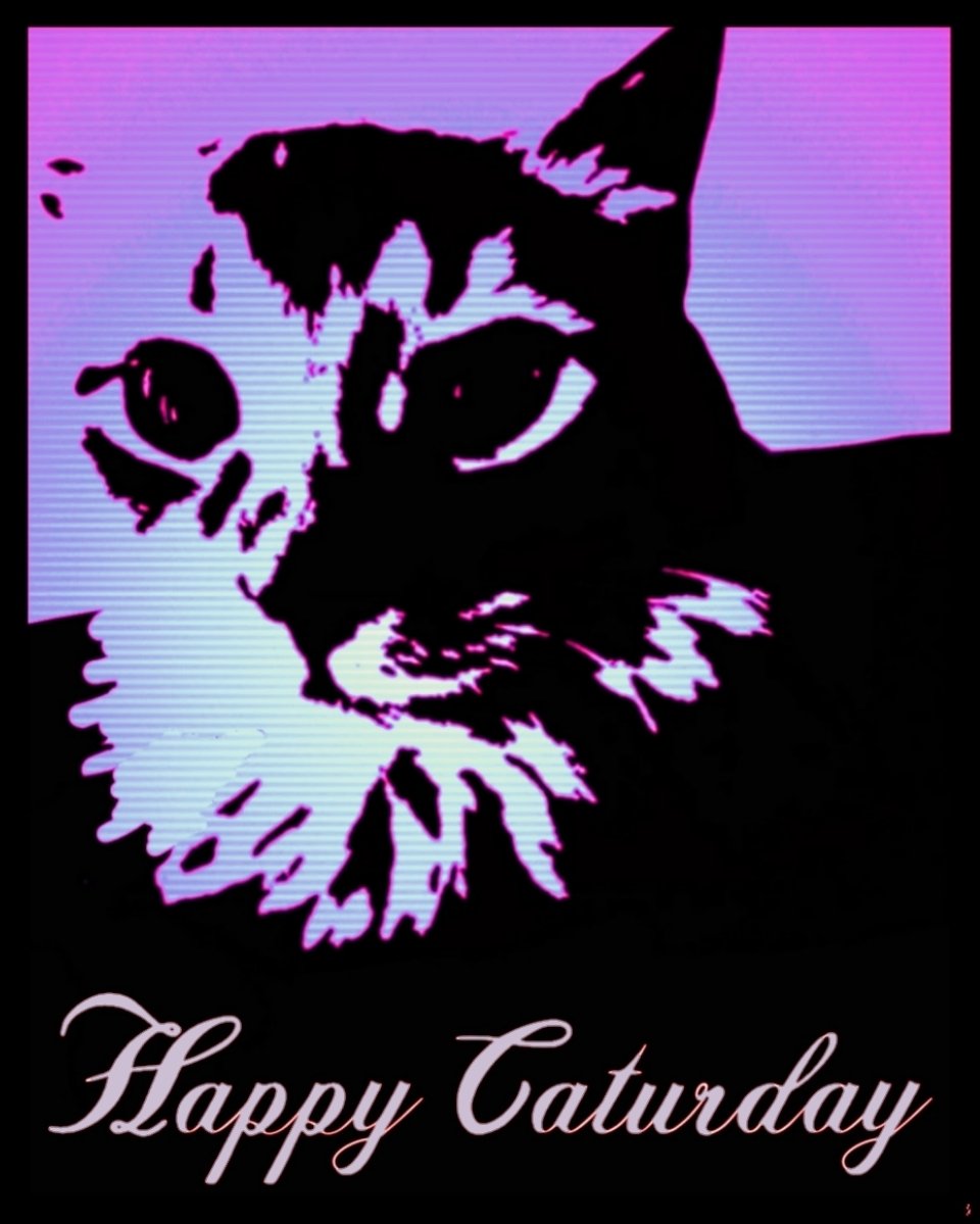 LionDogDesign1's tweet photo. Gonna start posting here again. Some recent #caturday stuff.

#GraphicDesigner #GraphicDesign #digitalart #DigitalArtist https://t.co/2cTKYDoPqp