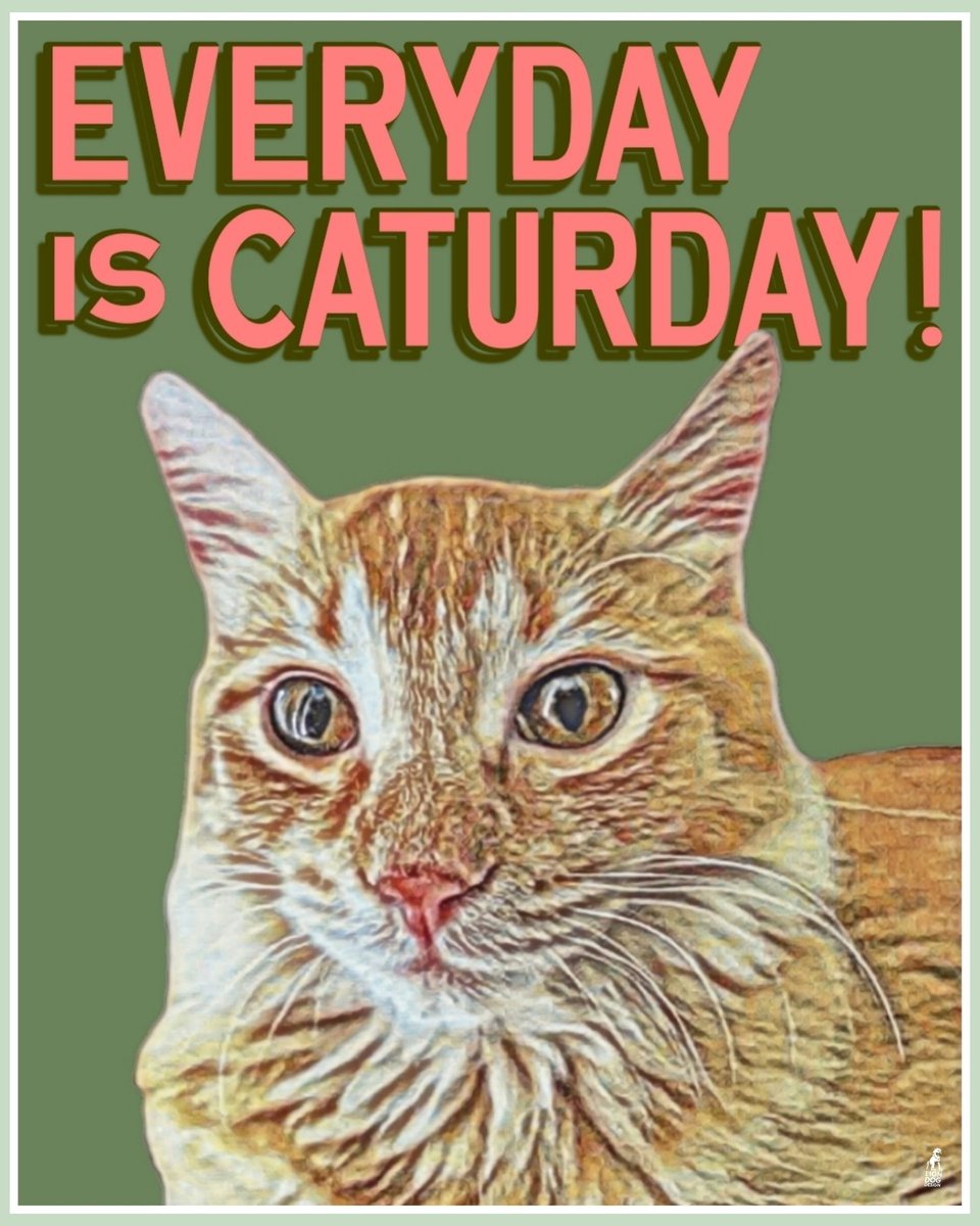 LionDogDesign1's tweet photo. Gonna start posting here again. Some recent #caturday stuff.

#GraphicDesigner #GraphicDesign #digitalart #DigitalArtist https://t.co/2cTKYDoPqp
