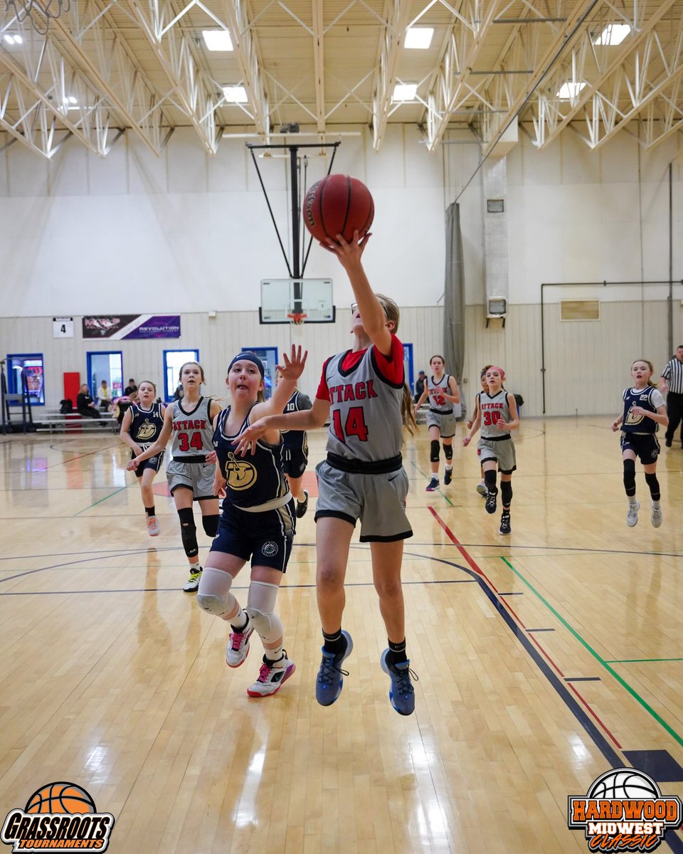 Grassroots Tournaments 🏀 tweet media