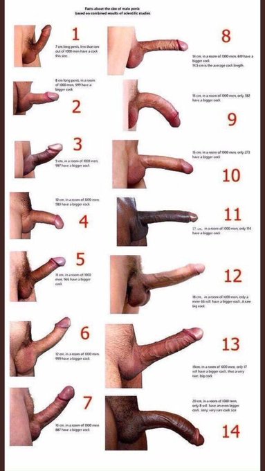 Sinful Sunday. Which one are you guys? (no I don't want to see) which do you prefer ladies and gents