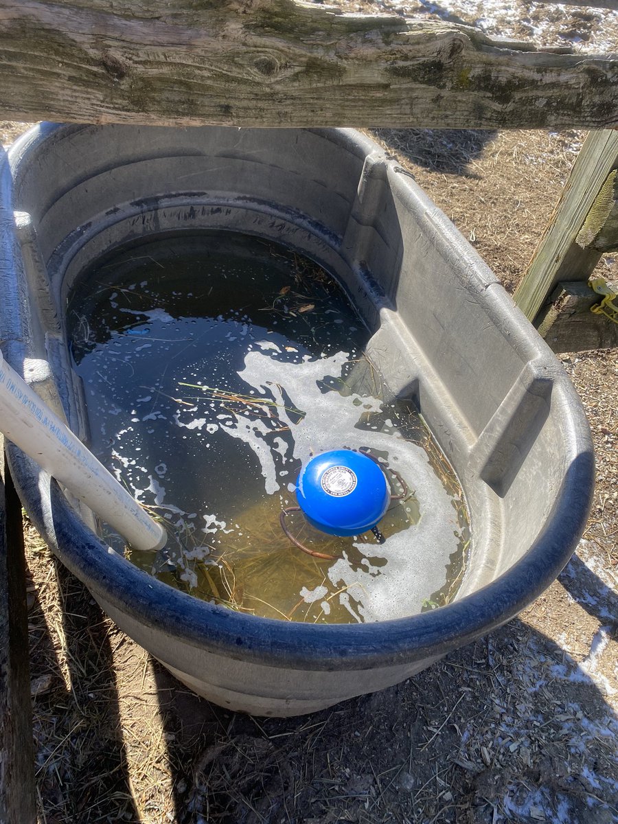 𝒜𝓈𝒽𝓁𝑒𝓎 ♔ tweet media