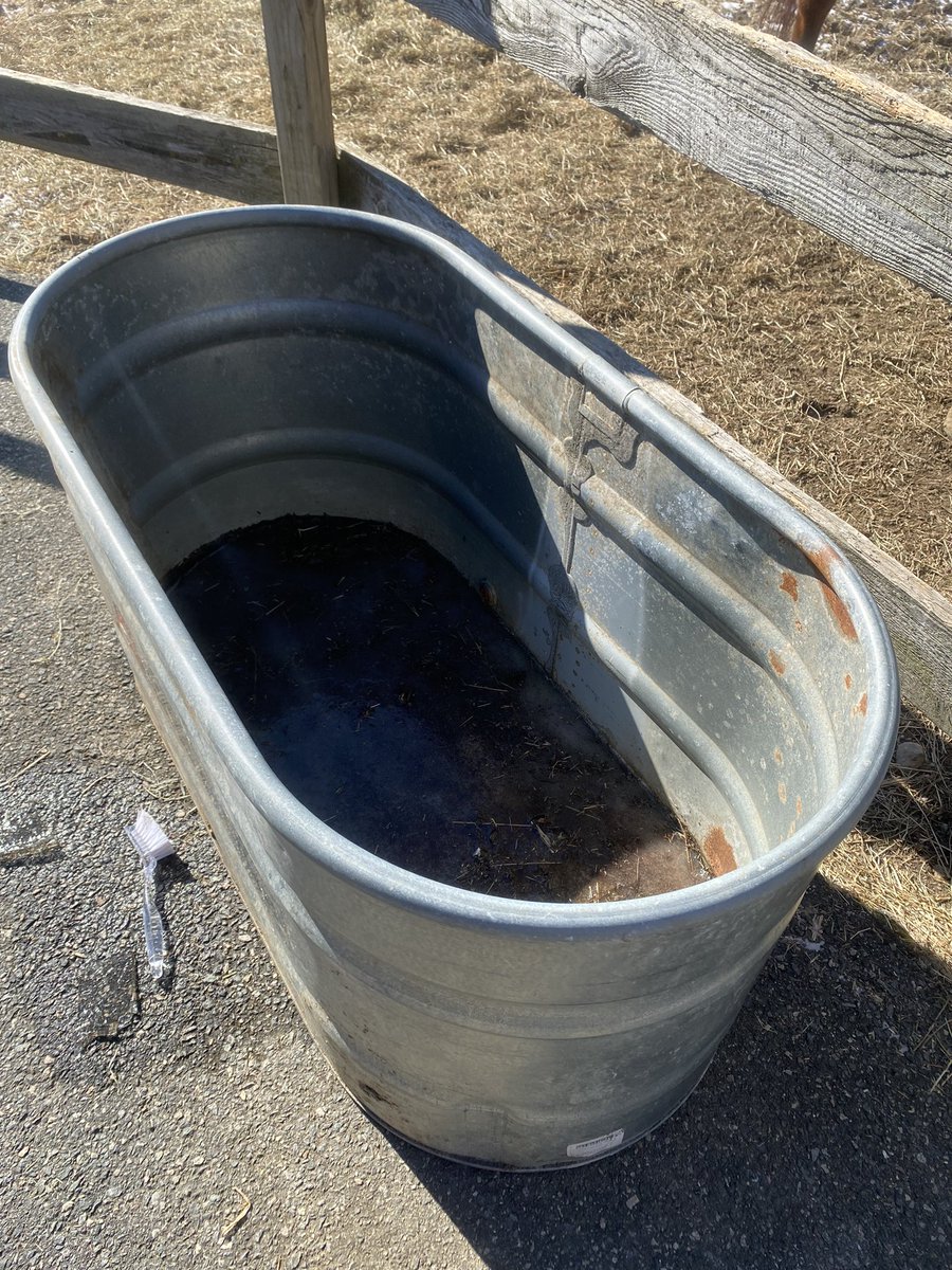 𝒜𝓈𝒽𝓁𝑒𝓎 ♔ tweet media