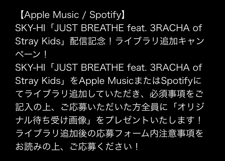 2極タイプ SKY-HI 3RACHA Stray Kids 直筆サイン ステッカー スキズ