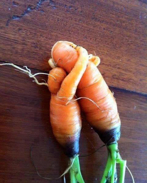 On a wet and windy Sunday sometimes you just need a cuddle; here’s one for you folks.