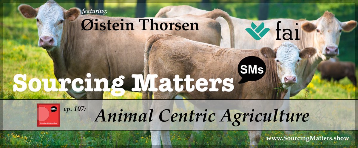 ABNiederhelman's tweet photo. https://t.co/HmkgKmZcUs ep. 107: Animal Centric Agriculture with guest: Øistein Thorsen @VinoThorsen, CEO of @FAIfarms in the #CoreSystemsChange series #SMs #SourcingMatters - https://t.co/eTBMdecPoL https://t.co/3Ry5DyfiaO