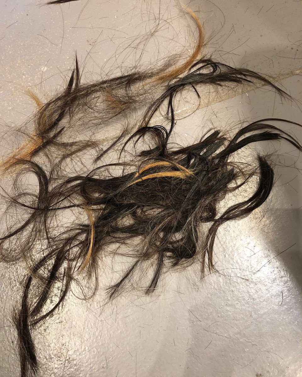 Daughters of Beer tweet media