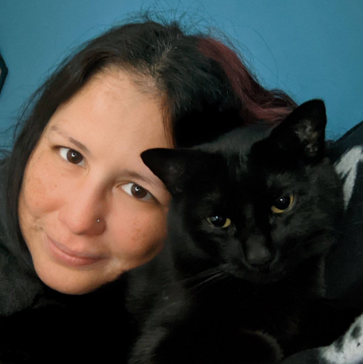 brendacantul's tweet photo. Today might not be #Caturday, but, it IS #InternationalCatDay! Happy day from #Köttur and me! https://t.co/ngtwXrSPU9