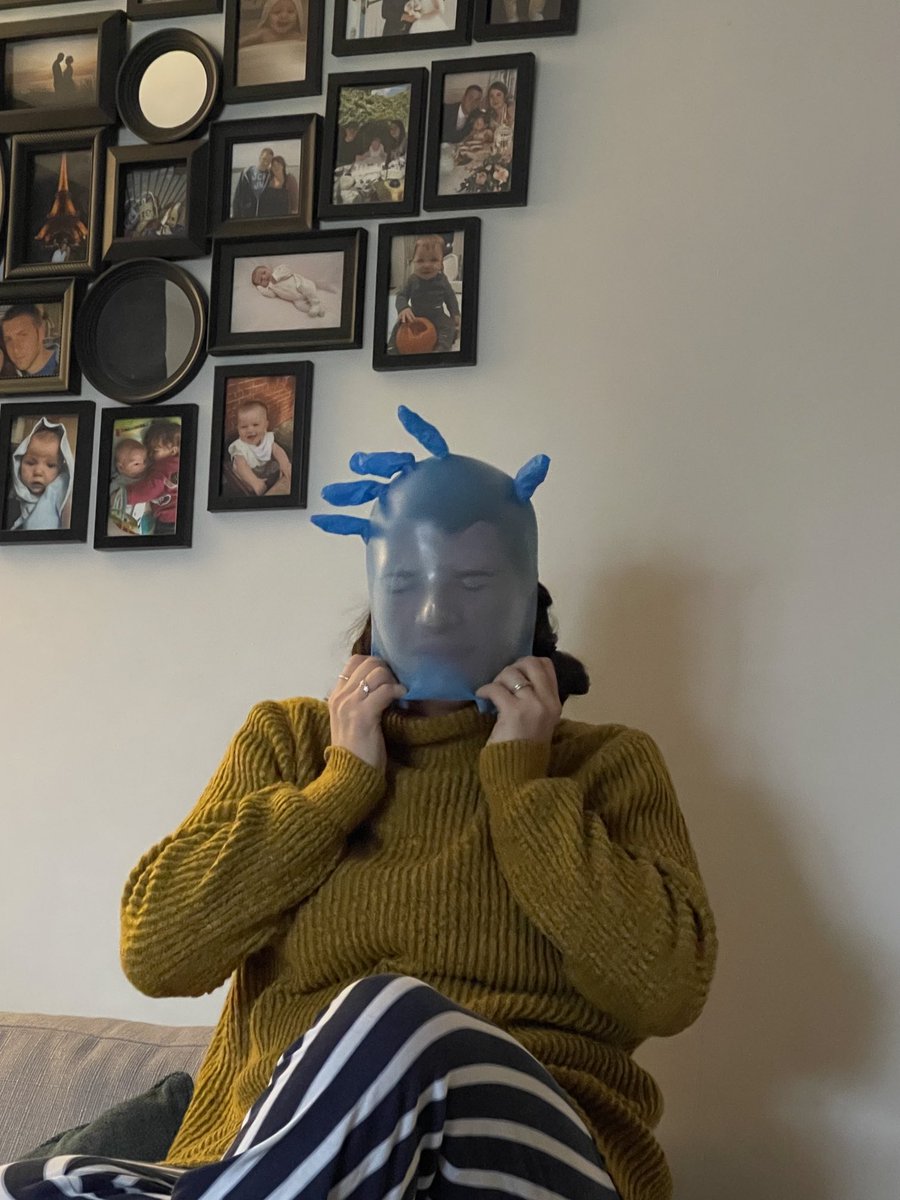 Peter Rodgers tweet media