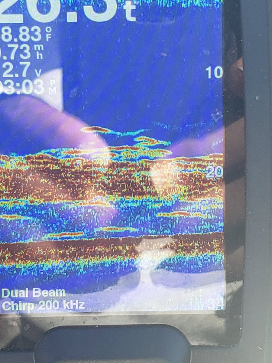 chatmarjr's tweet photo. @1cast1fish Paul, love your videos. I just got a Garmin Striker 4 and took this picture on the fish finder. What am I seeing? Especially the marks 2 feet above the bottom at 28 feet. It's not attached to the bottom. Any advice is appreciated 🙏. https://t.co/PTq7bIYgHr