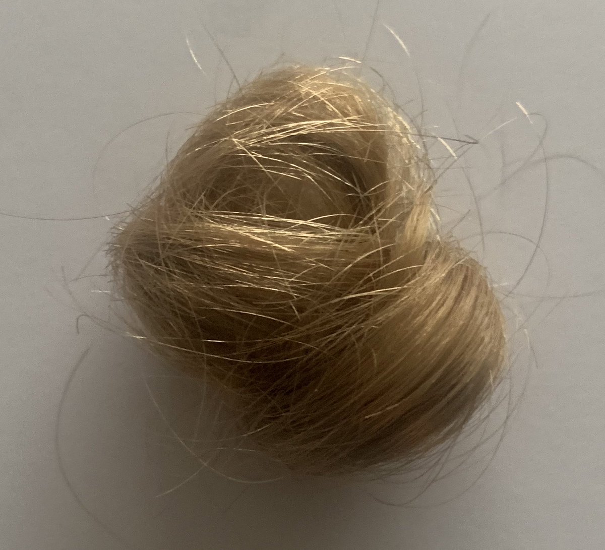 errol67's tweet photo. Terwijl ze mij de lok op de foto laat zien zegt #47yo: “Dit is mijn echte kleur haar”

Oké maar dan snap ik iets niet. Wat is dan die grijze scheiding op jouw hoofd die 2x per maand een zwart kleurtje krijgt?? https://t.co/nQhTkWMM6a