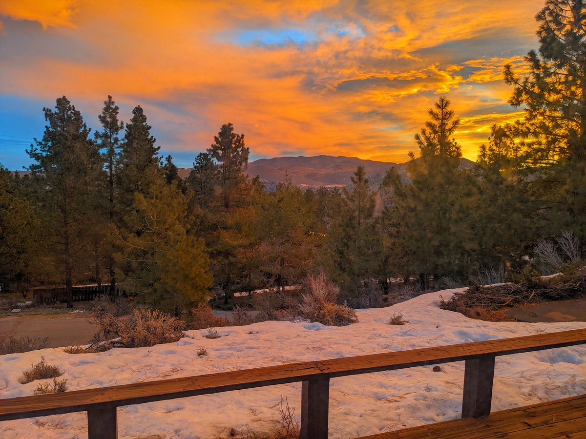 CarsonRanger tweet media