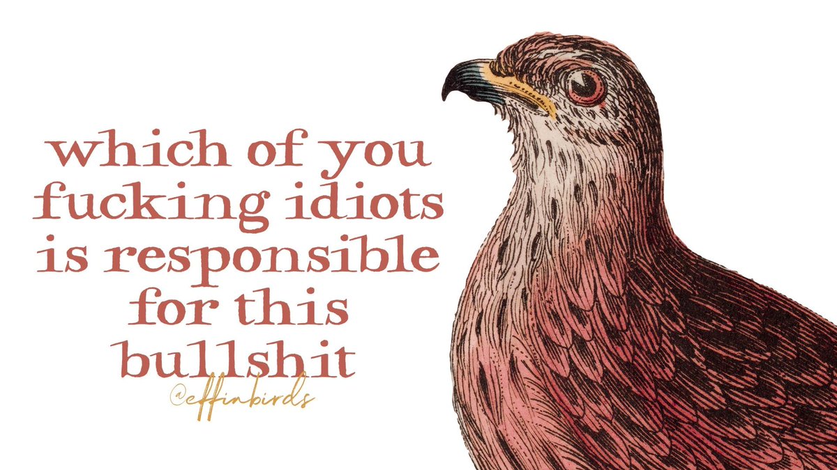 EffinBirds tweet picture