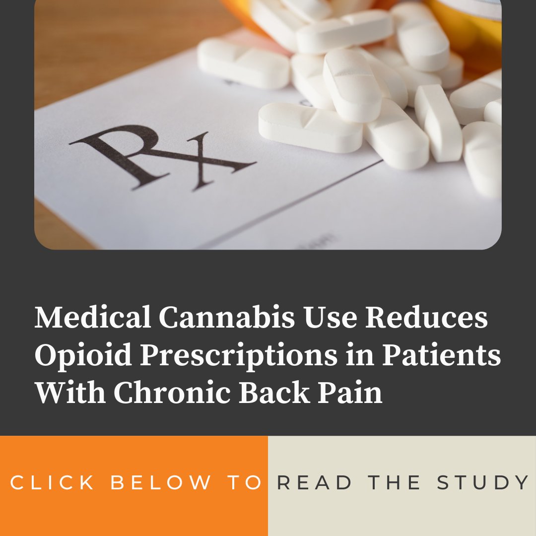 Bonaventure Equity tweet media