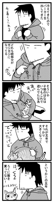 ちなみにこれ。はなが子猫のときからだから10年着てる。天然ダメージ加工みたいになってる。 