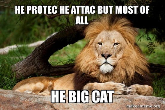 marillion13's tweet photo. But #NeverForgetCecil who couldn´t even protect himself when a dentist who paid for #TrophyHunting lured him out of the protected #NationalPark and shot him. 
@BigCatRescue https://t.co/oiWMCXiZS7