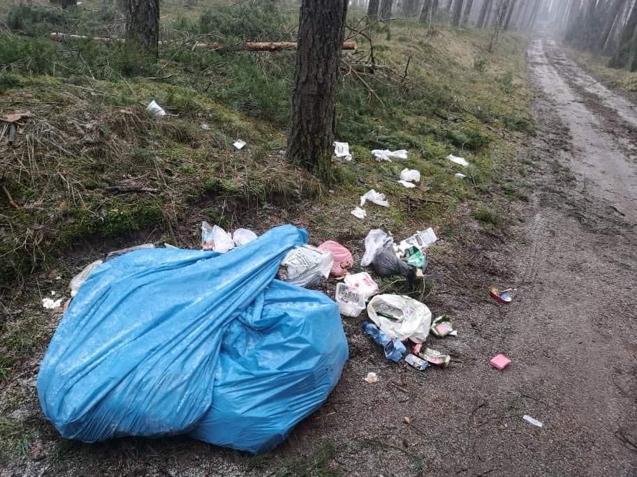 Polska Normalna tweet media