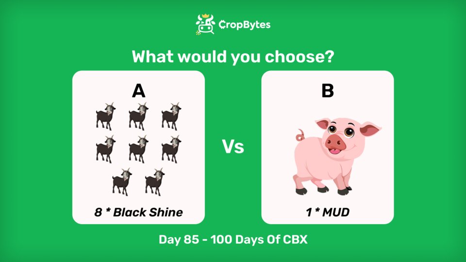 CropBytes's tweet photo. 🔥DAY 83 - 100 DAYS OF CBX🔥

🎁Win CBX every day for 100 days

📢 Would you choose A or B? Tell us why. 
✅Like
✅Use #CropBytes $CBX 

Know more: https://t.co/Aiizz9oVZk

#nftgame #airdrops #giveaway #simulationgame https://t.co/YD4xa6s7k3