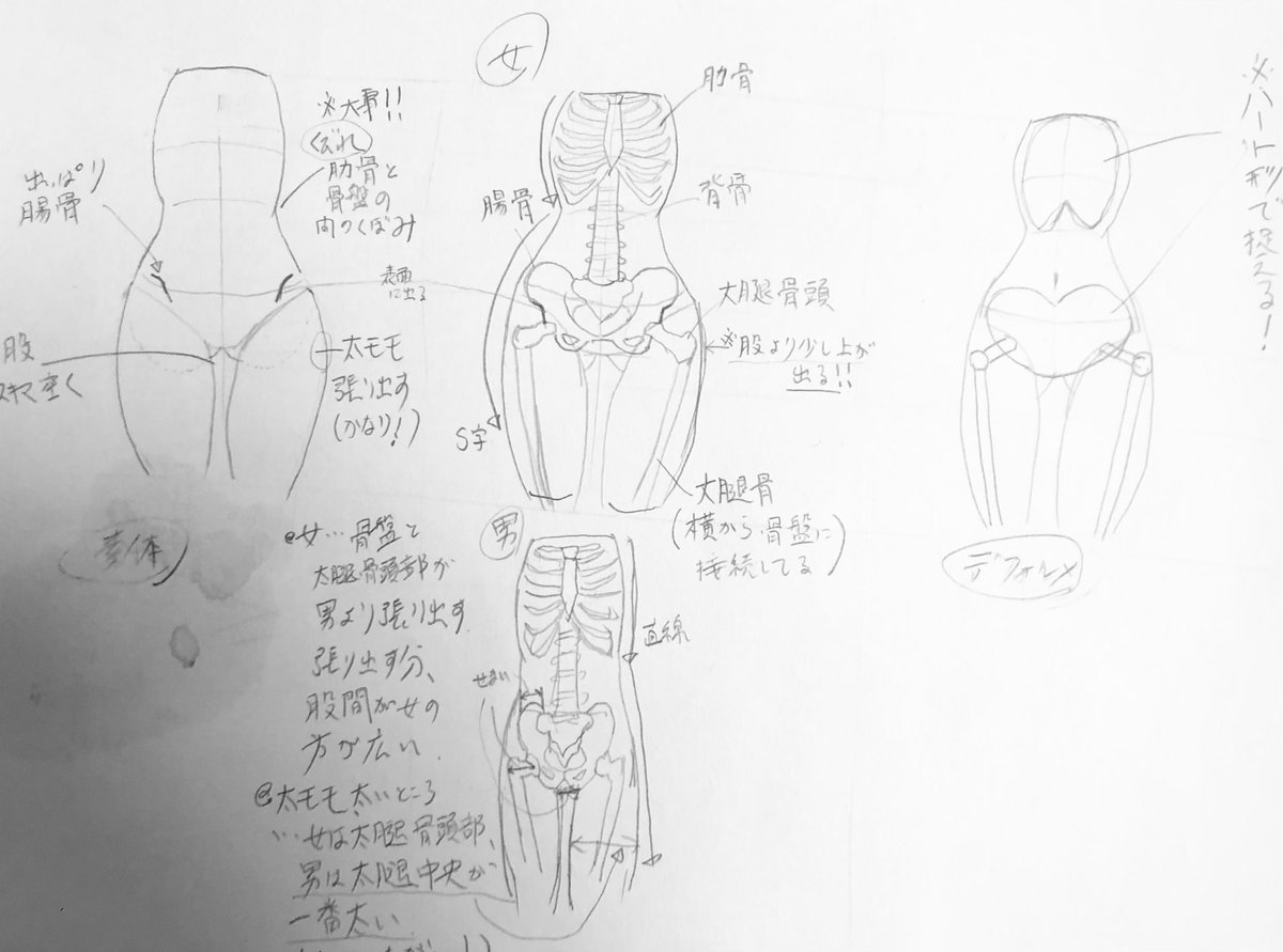 最近学習した事(急いでかいたのできたない)のアウトプットをしたかったのと、半年前の絵のリベンジでもあったり
ちょっとずつでもうまくなりたいなあ… 