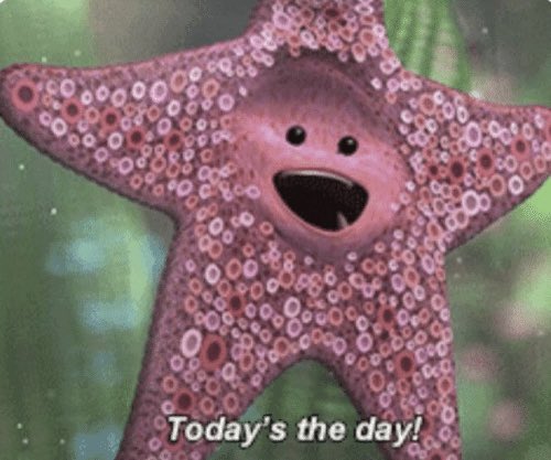 Without Limits Dance Company tweet media