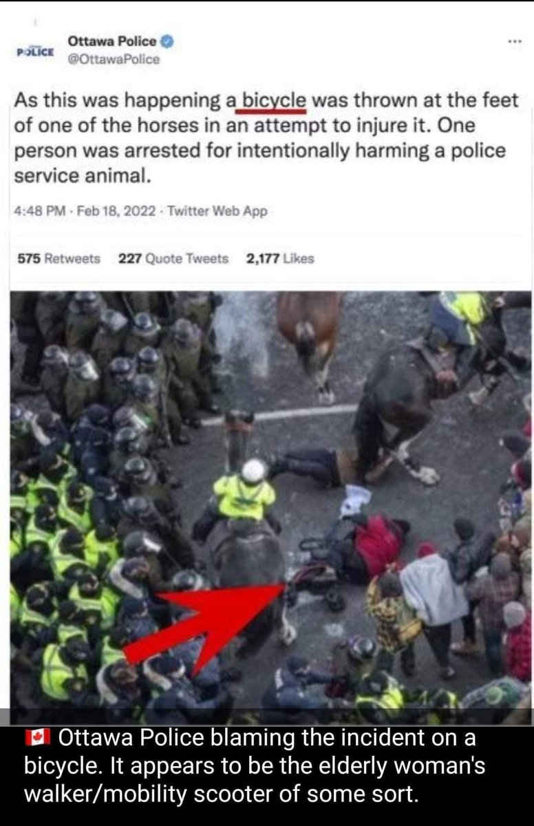 Red20242684's tweet photo. @CTVNews Videos showing that the cops pushed through with the horses intentionally, woman is alive, she had a walker, cops were also caught talking about the incident and laughing about it https://t.co/sMqAicGQMi