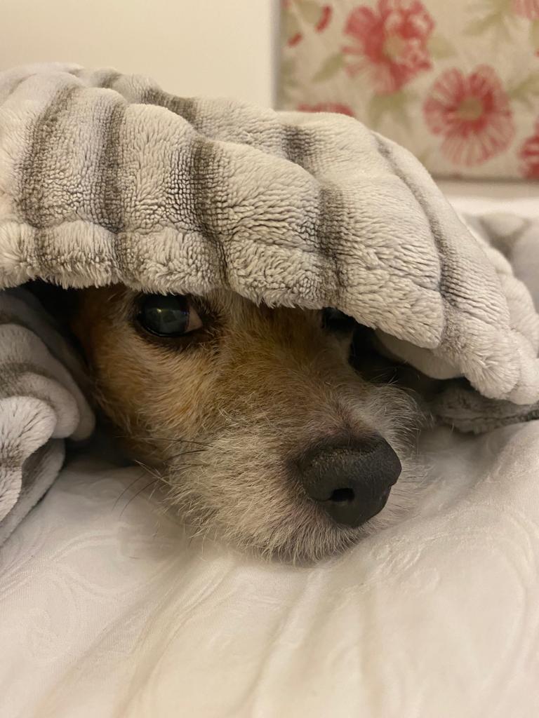 The Property Hub tweet media