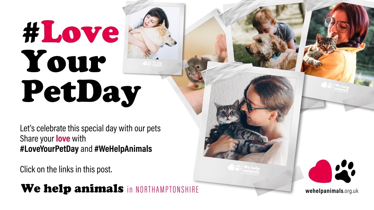 WeHelpAnimals1's tweet photo. Happy #LoveYourPetDay!
Please SHARE YOUR LOVE WITH #LoveYourPetDay and #wehelpanimals
For more detail please go to:
https://t.co/D3ZQj71fdf https://t.co/yqfQ3qefbm